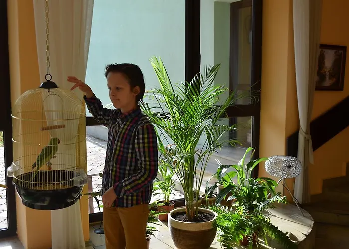 Dw Jontek Guest house 2*